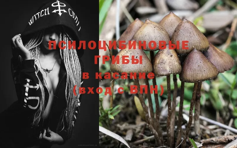 Галлюциногенные грибы Magic Shrooms  продажа наркотиков  Белорецк 