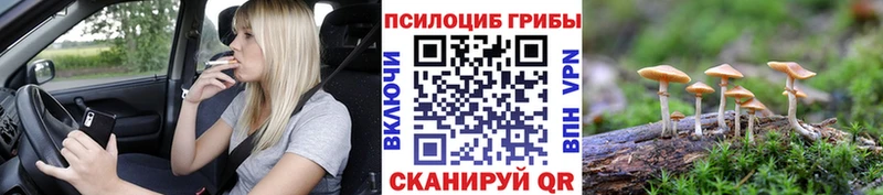 blacksprut вход Белорецк Галлюциногенные грибы Magic Shrooms