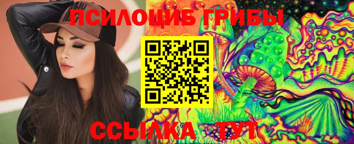 Белорецк  Галлюциногенные грибы Psilocybine cubensis  Вход с VPN 