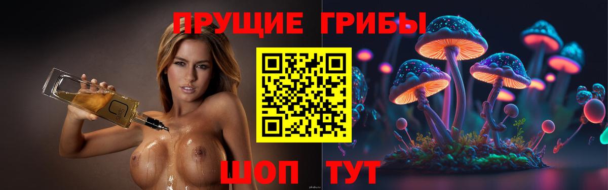 Галлюциногенные грибы мицелий Белорецк
